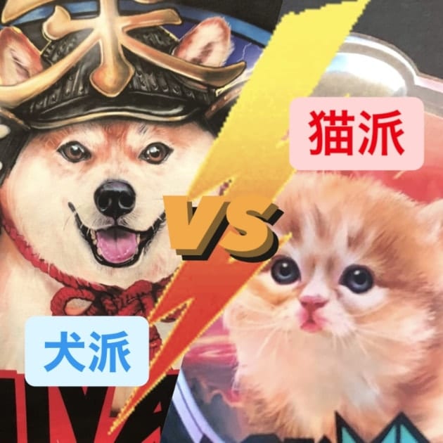 猫派vs犬派 7
