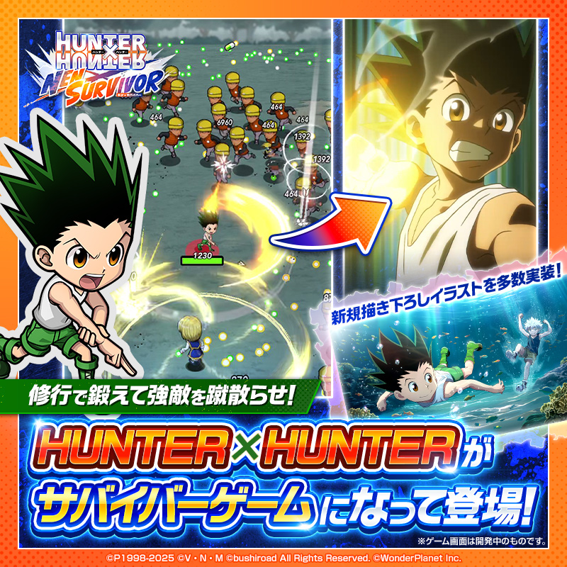 HUNTER×HUNTER NEN×SURVIVOR 3