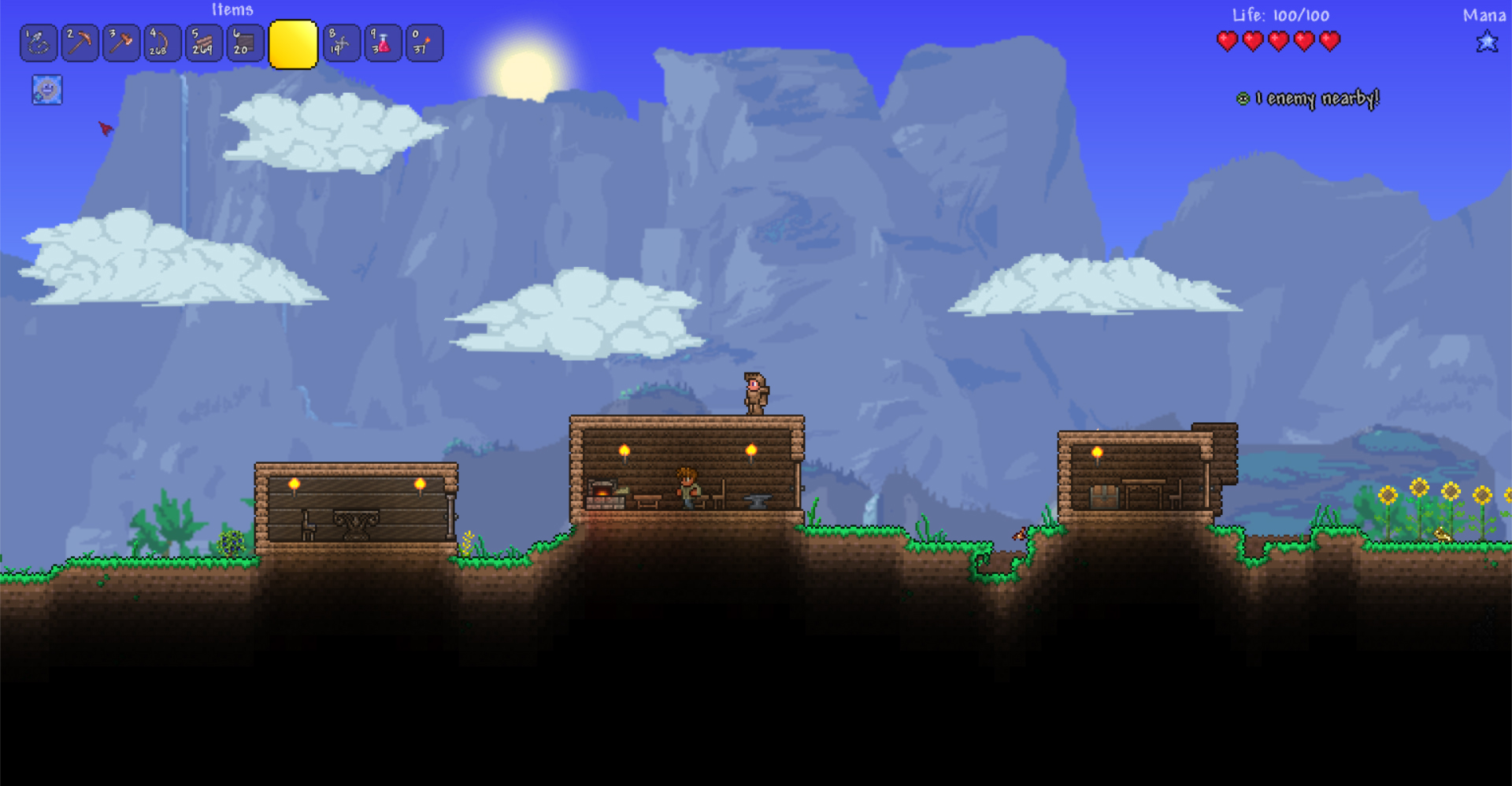 Terraria 4