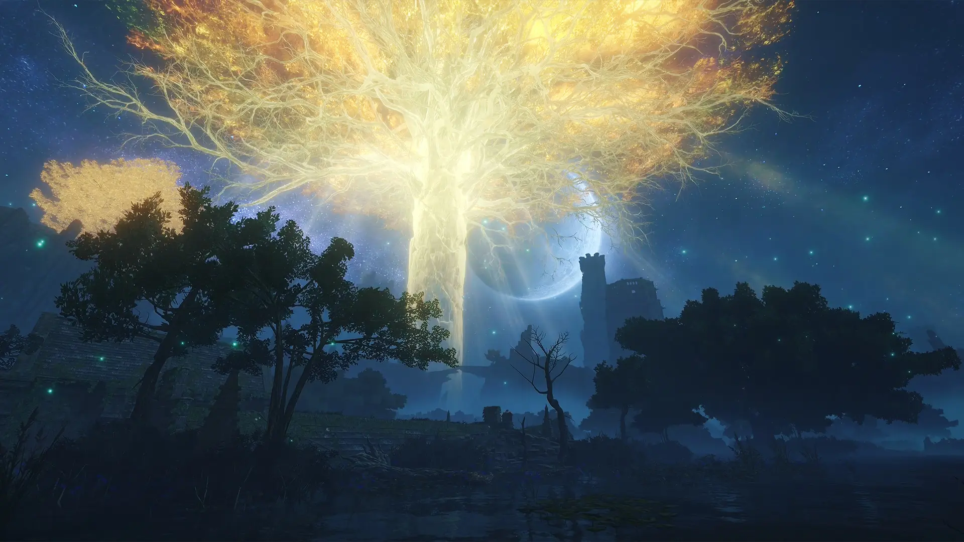 ELDEN RING 黄金樹の影 1