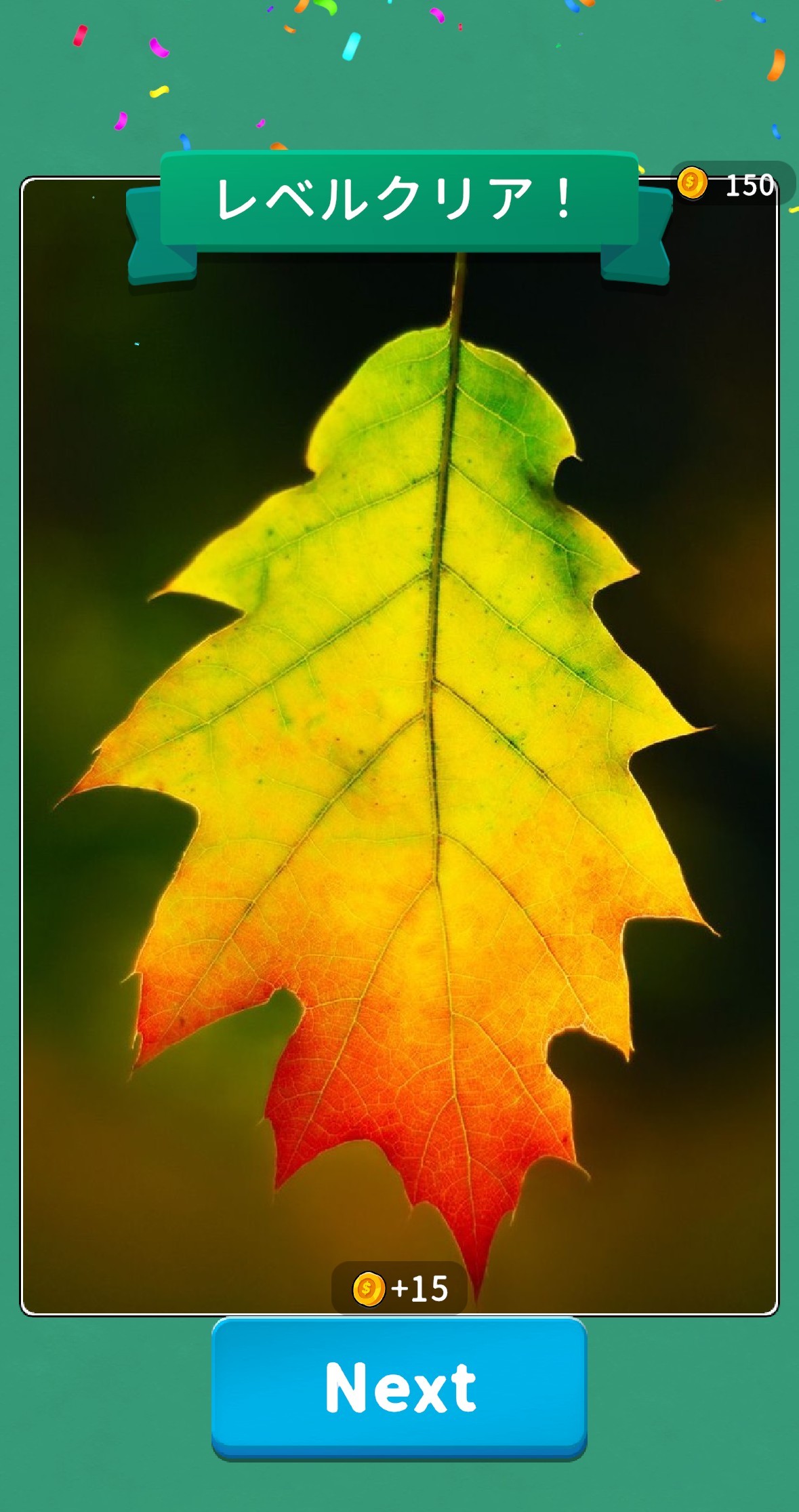 Jigsolitaire - ジグソリティア 5