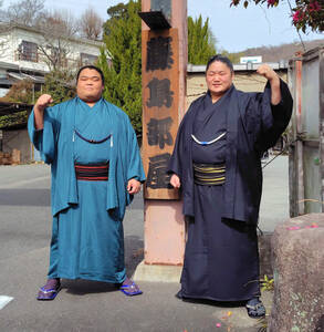 大相撲春場所 新入幕の藤青雲と藤凌駕が会見 意気込み語る 8