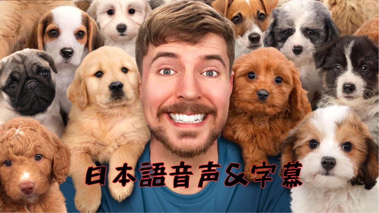MrBeast日本語版 5