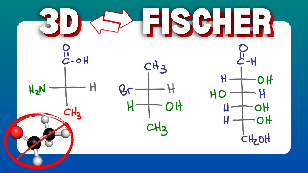 Fischer's 9