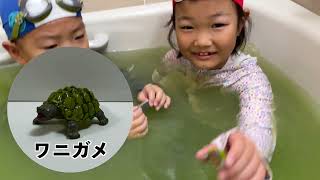 せんももあいしーch 6