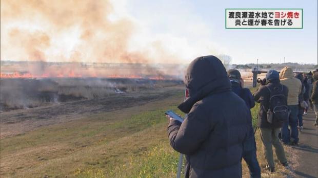 渡良瀬遊水地でヨシが燃え広がる 約7時間後に鎮火 6