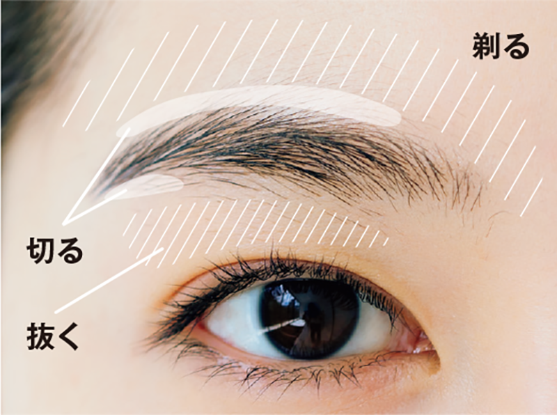 眉毛の手入れ 7