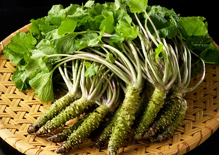 チューブのわさびvs本わさび 4