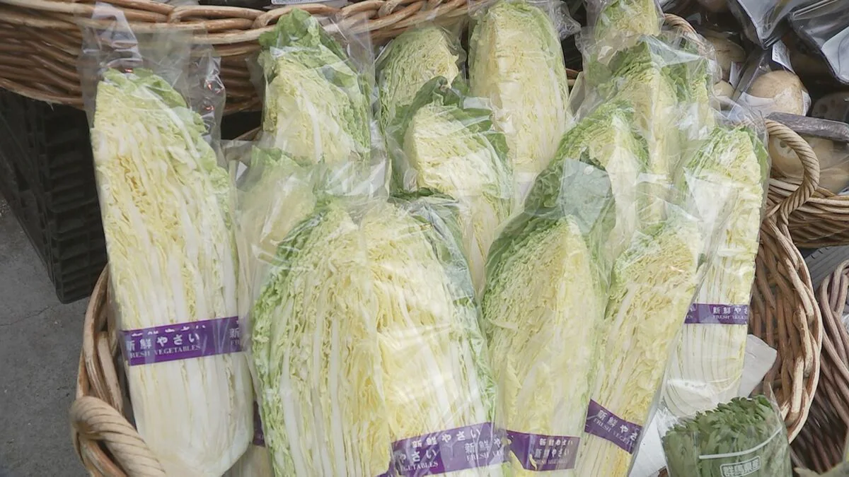 3月の野菜価格見通し じゃがいもなど平年比3割以上高値 農水省 7
