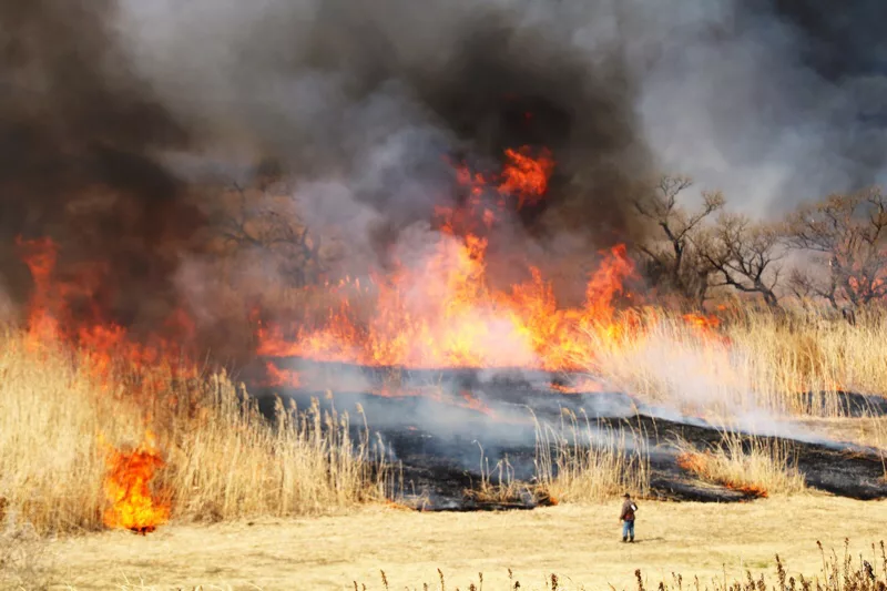 渡良瀬遊水地でヨシが燃え広がる 約7時間後に鎮火 1