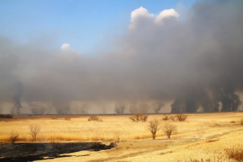渡良瀬遊水地でヨシが燃え広がる 約7時間後に鎮火 8