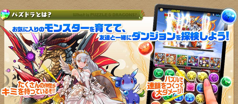 パズル＆ドラゴンズ 5