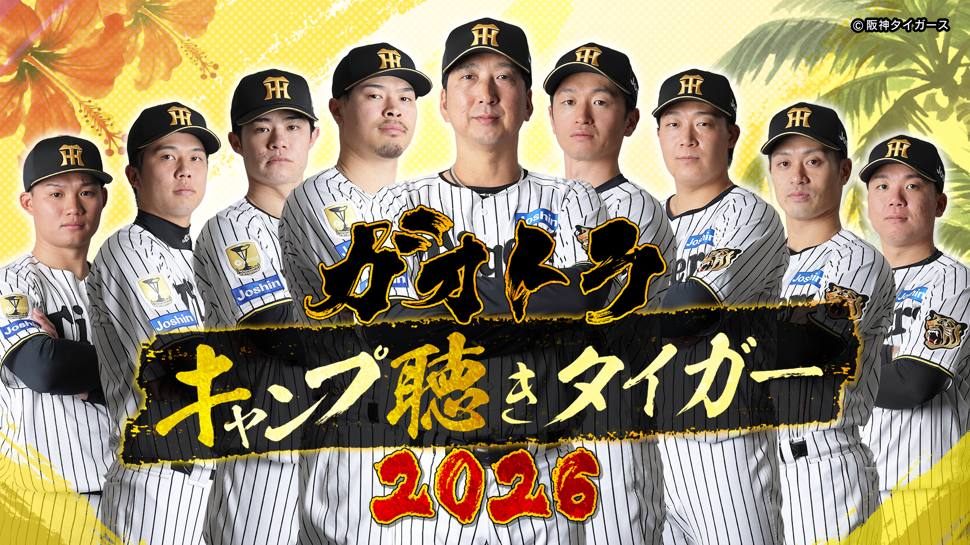 阪神タイガース