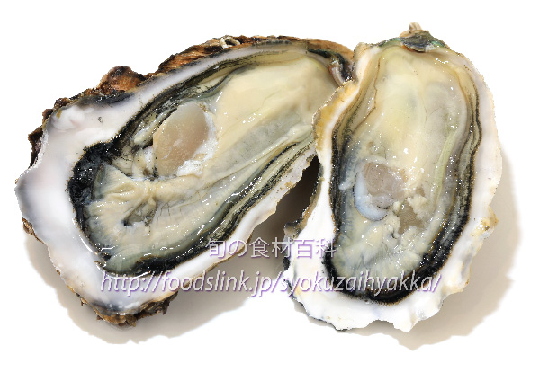 牡蠣（カキ）