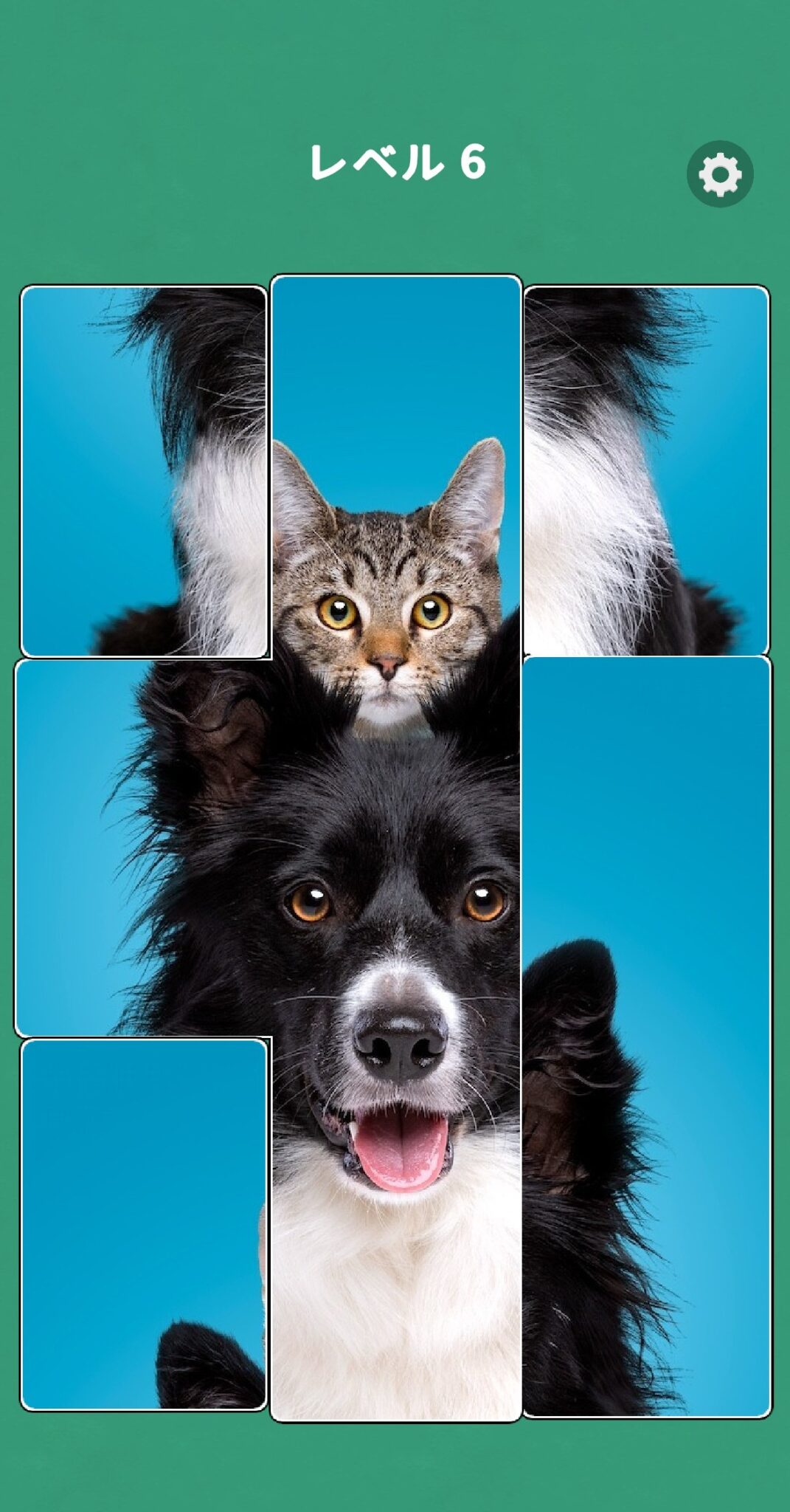 Jigsolitaire - ジグソリティア