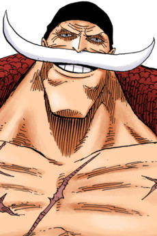 白ひげ（ワンピース）