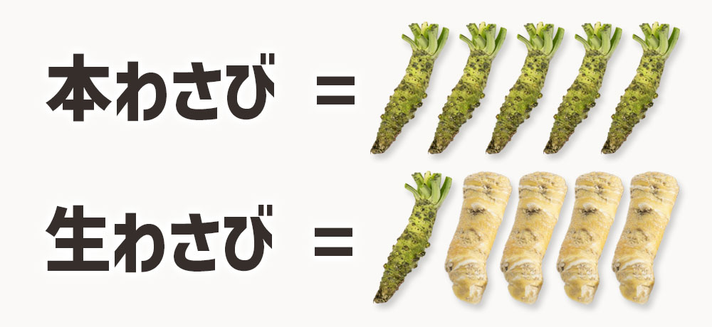 チューブのわさびvs本わさび 8