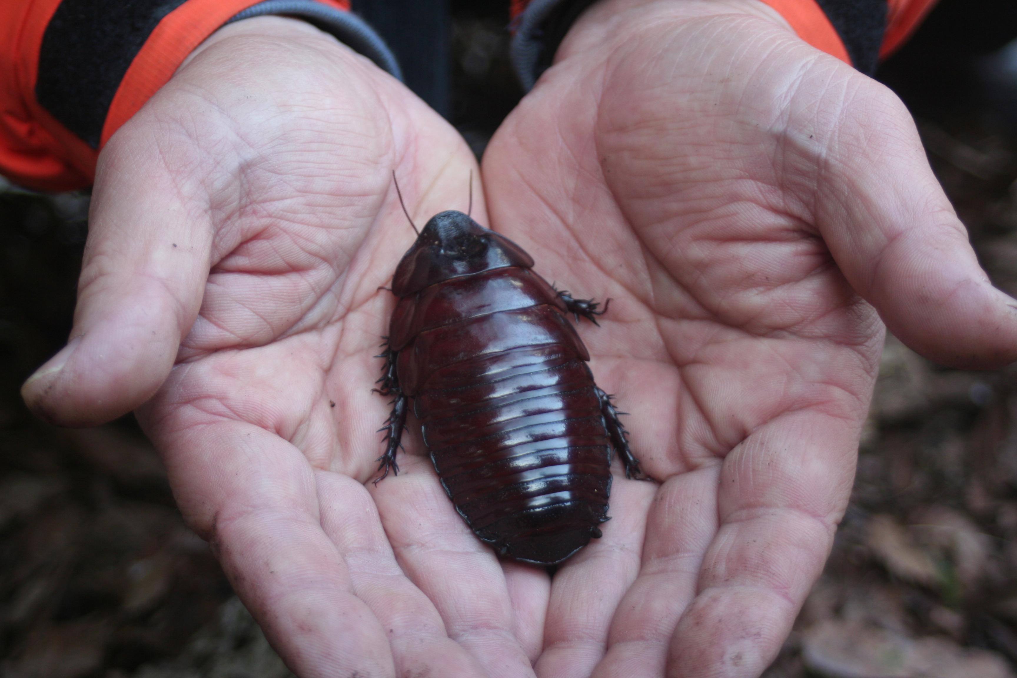海外 嫌われてる有名人 7