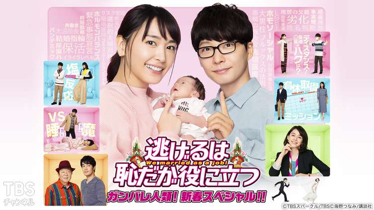 逃げるは恥だが役に立つ 3