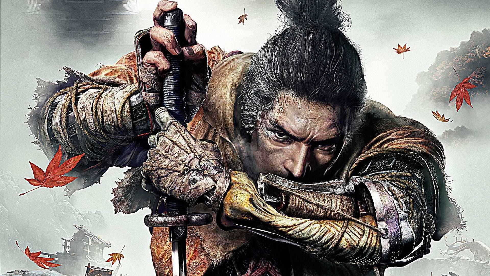 SEKIRO 6